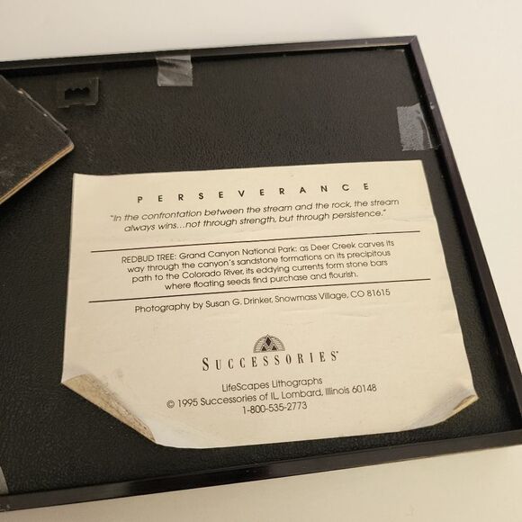 Successories Perseverance Lifescspes Lithograph Of Grand Canyon National Park - Picture 10 of 10